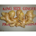 Different Sizes Of Air-dired Ginger In Different Packagings